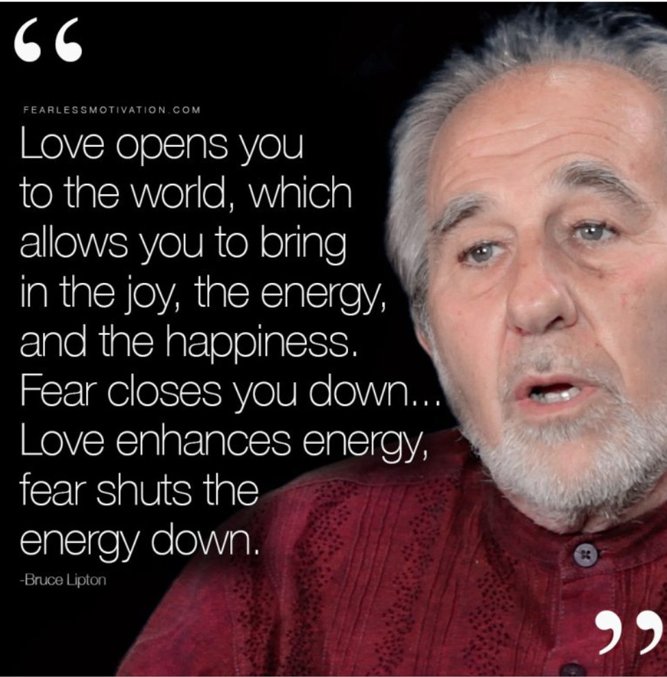 Bruce Lipton Love