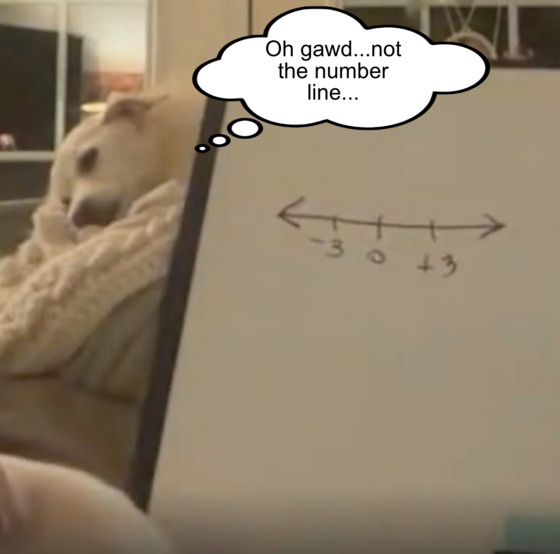 number line dog