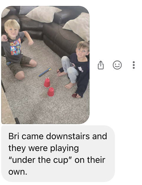 self directed what's under the cup McCrae